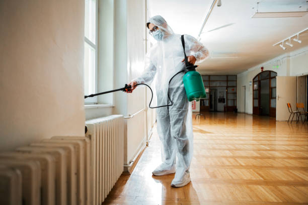 Real Estate Pest Inspections in Lepanto, AR